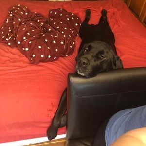 Meet your Posher, Diana